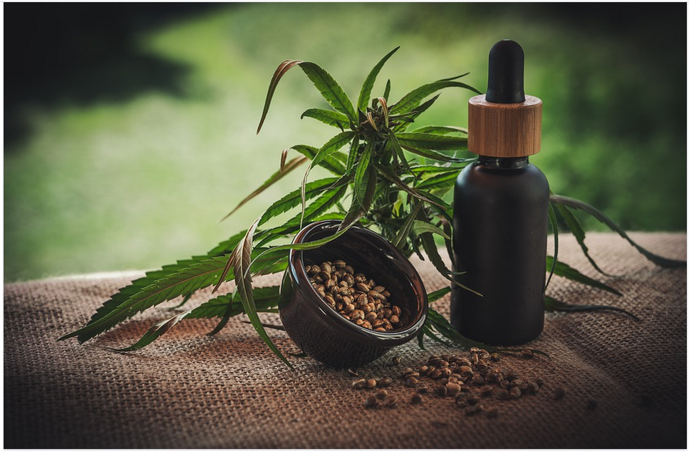 cbd oil